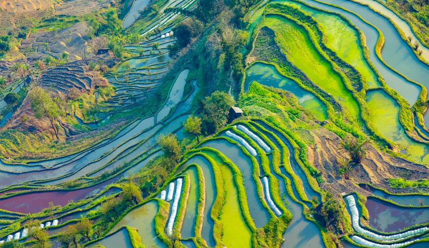 宝妈必备神器：武强县产品视频拍摄轻松育儿好帮手