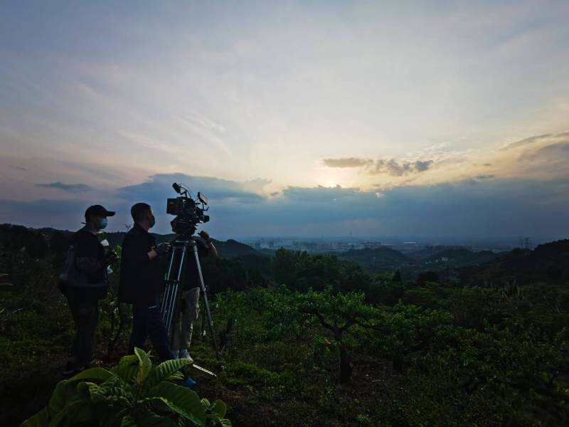 聚焦武强县产品宣传视频拍摄公司，用专业实力铸就品牌传播传奇