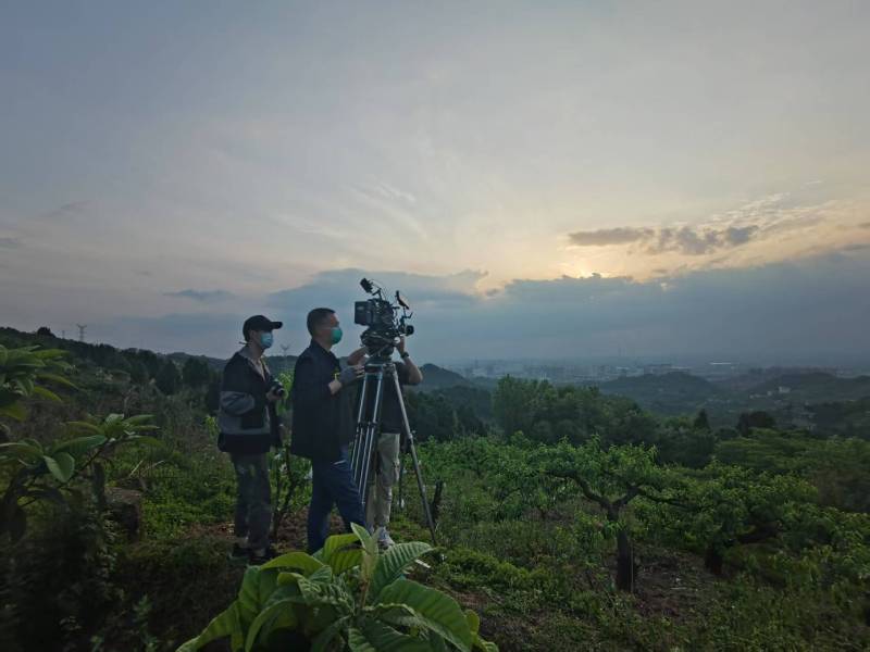 创意破圈！武强县电商产品宣传视频用故事化叙事引爆流量
